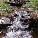 La Pergola Sierra De Albarracin Planta Baja Y Garaje Lägenhet *
